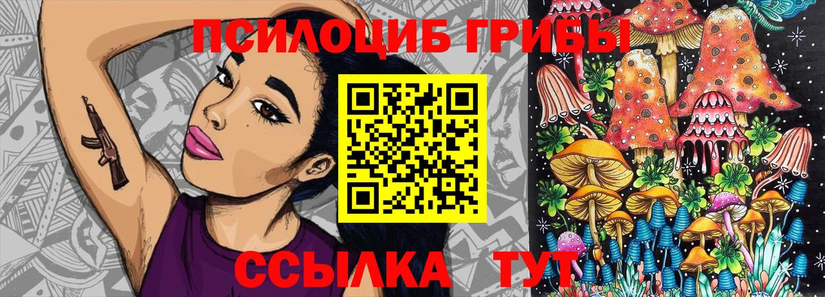 где продают   Галлюциногенные грибы GOLDEN TEACHER  Вход с VPN  Галлюциногенные грибы GOLDEN TEACHER  Елизово 